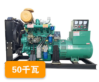 50KW里卡多潍坊柴油发电机组